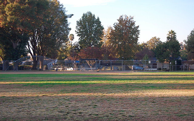 DSC 0447