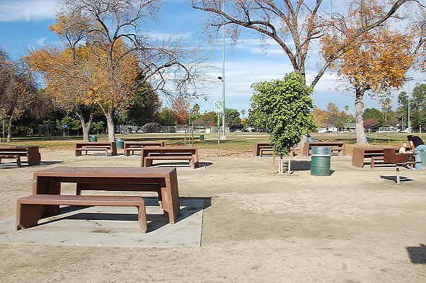 DSC 0035