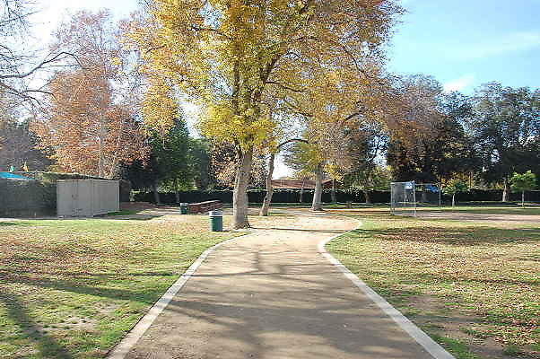 DSC 0041