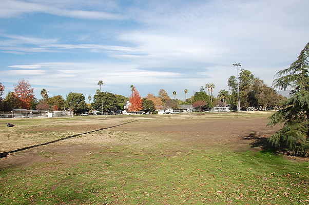 DSC 0043