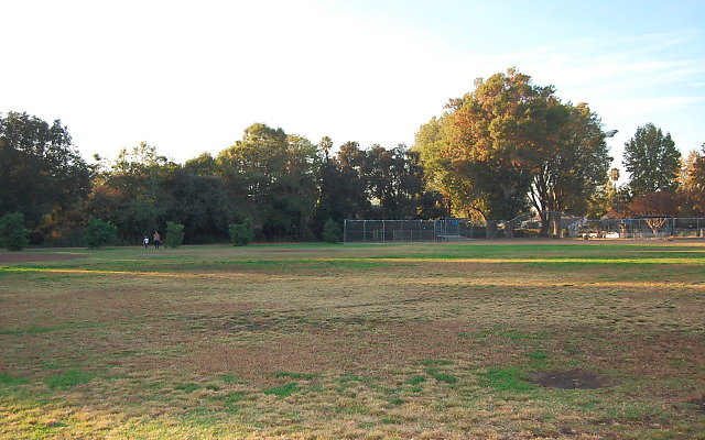 DSC 0444