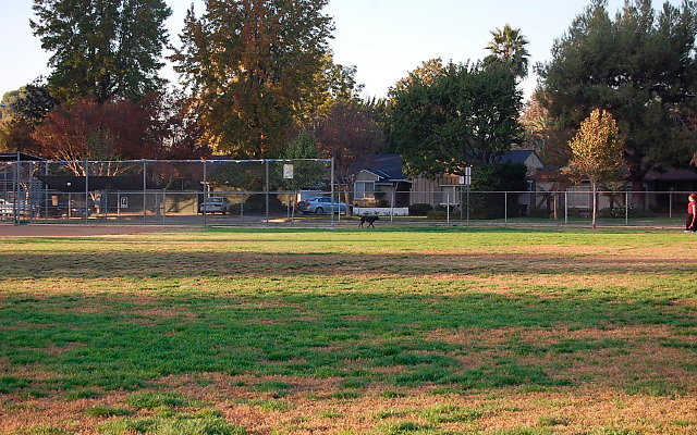 DSC 0451