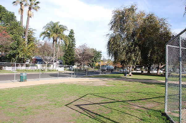 DSC 0015