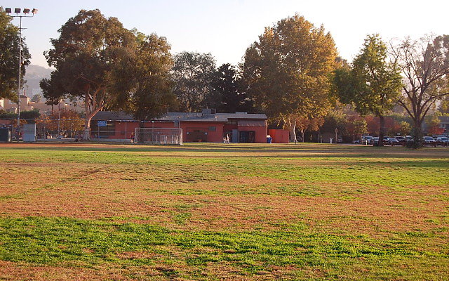 DSC 0442
