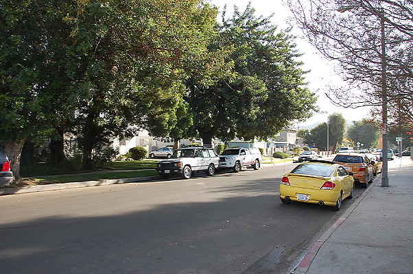 DSC 0030