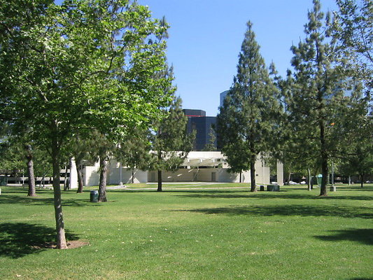 IMG 7814