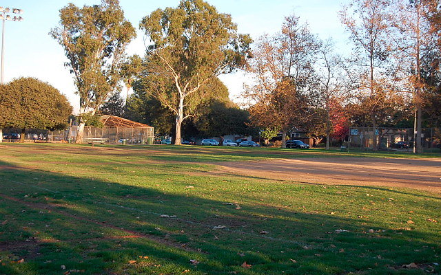 DSC 0264