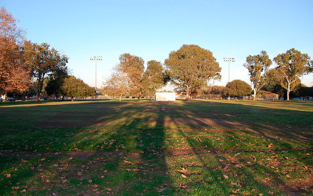 DSC 0260