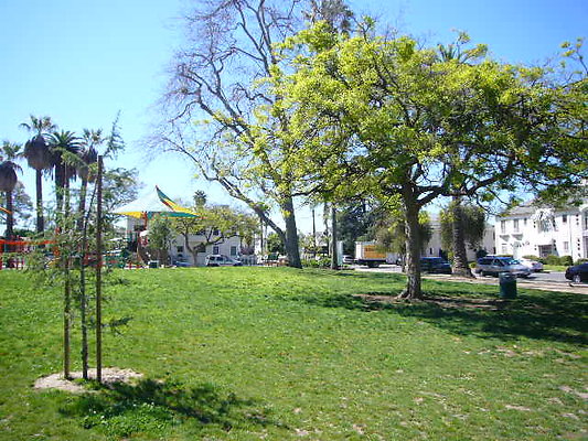 P1080653