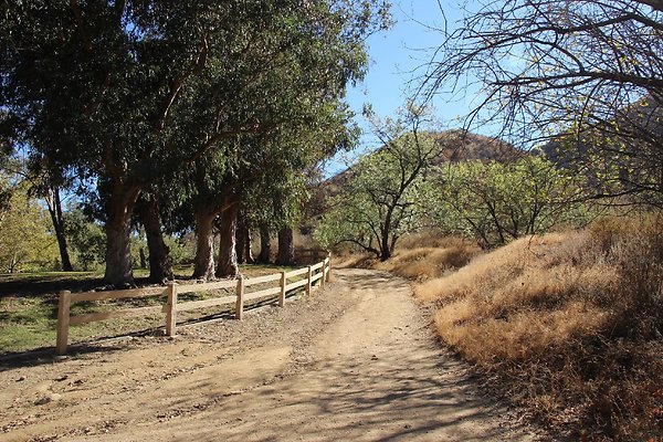 08.Omelveny.Dirt.Hike.Horse.Path