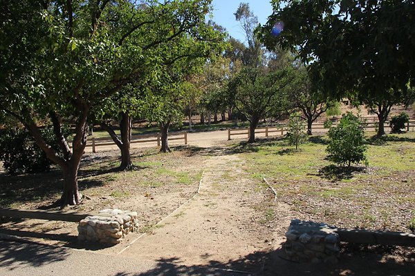 02.Omelveny.Orchard