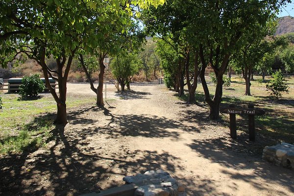 03.Omelveny.Orchard