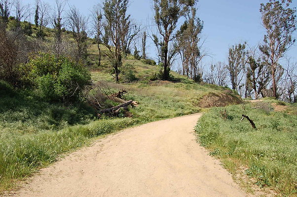 DSC 0566