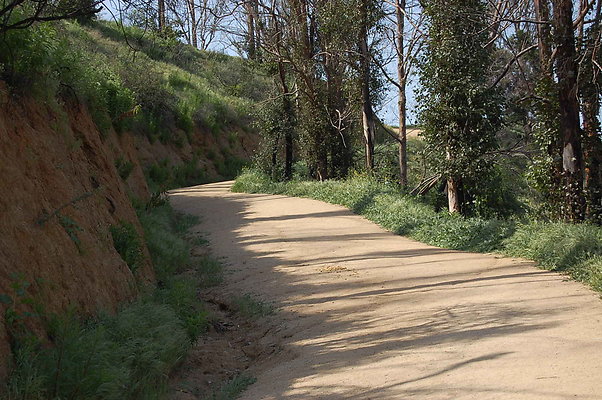 DSC 0579