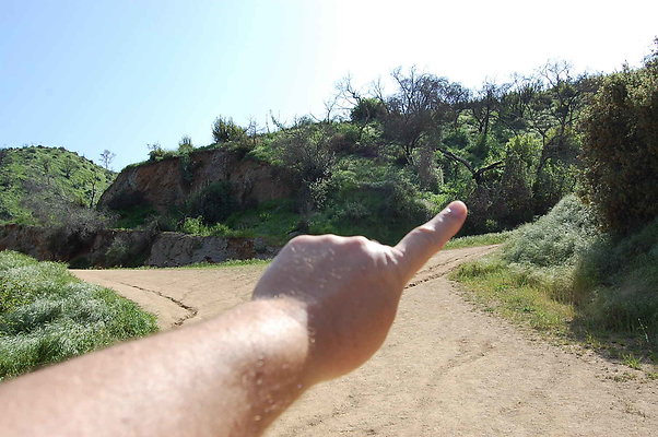 DSC 0547