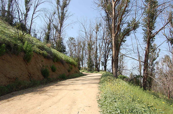 DSC 0577