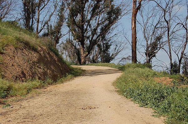 DSC 0568