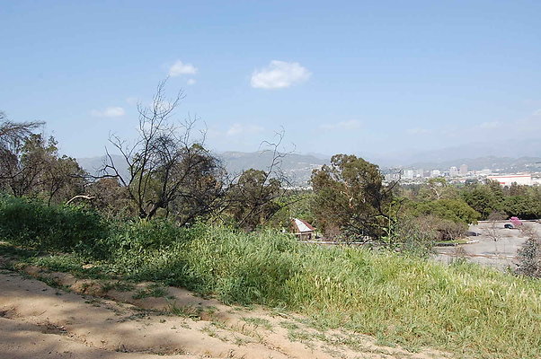 DSC 0509