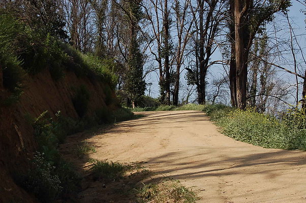 DSC 0572
