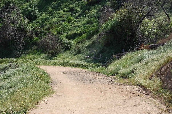 DSC 0580