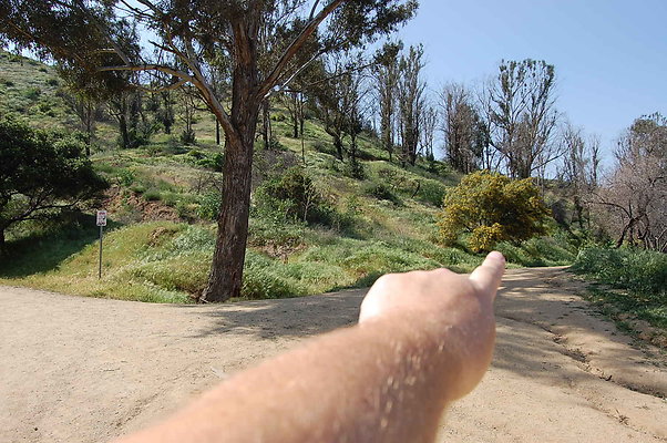DSC 0508
