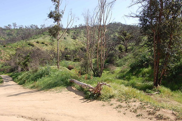 DSC 0511