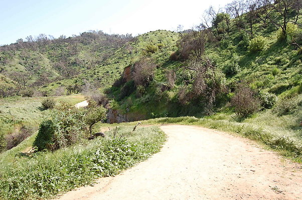 DSC 0570