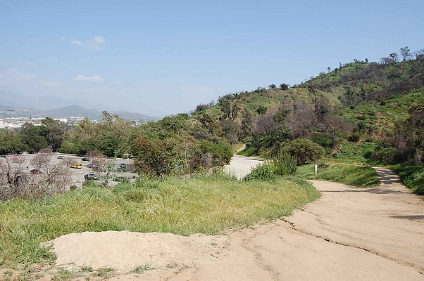 DSC 0510