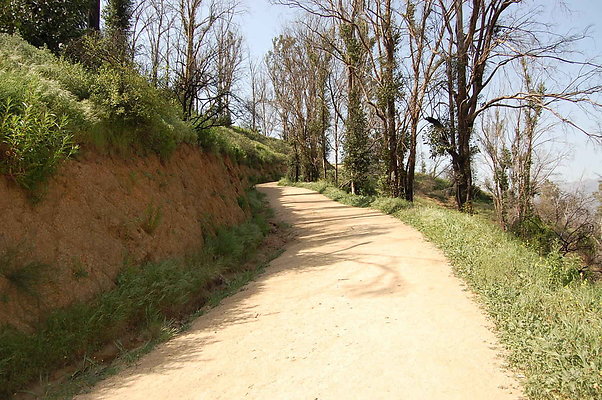 DSC 0578