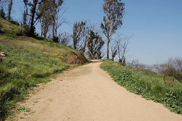 DSC 0567