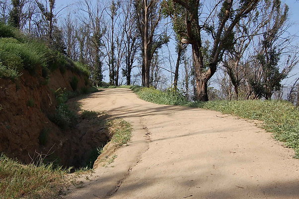 DSC 0581