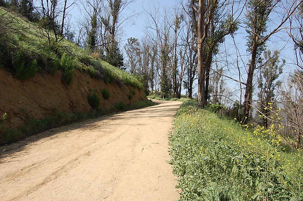 DSC 0574