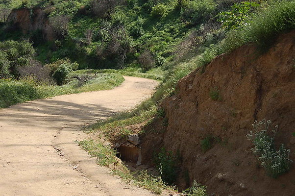 DSC 0575