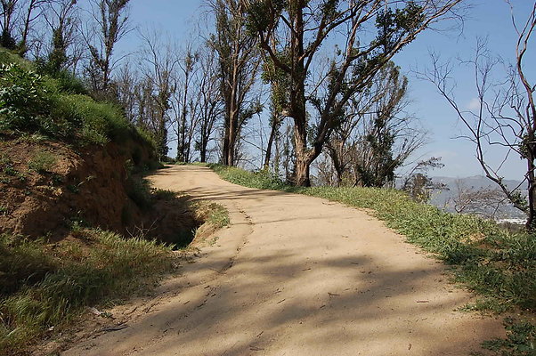 DSC 0571