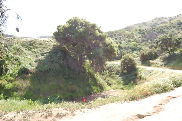 DSC 0505