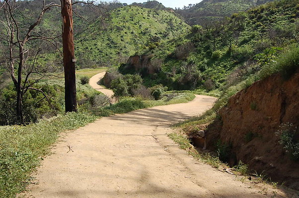 DSC 0576