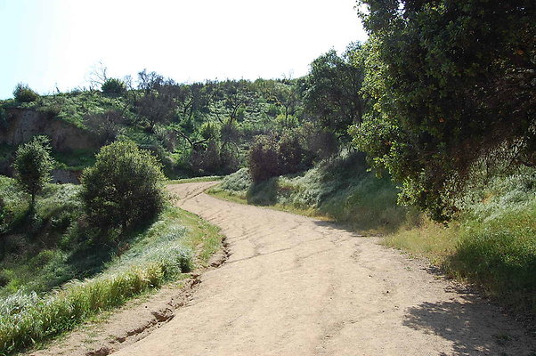 DSC 0544