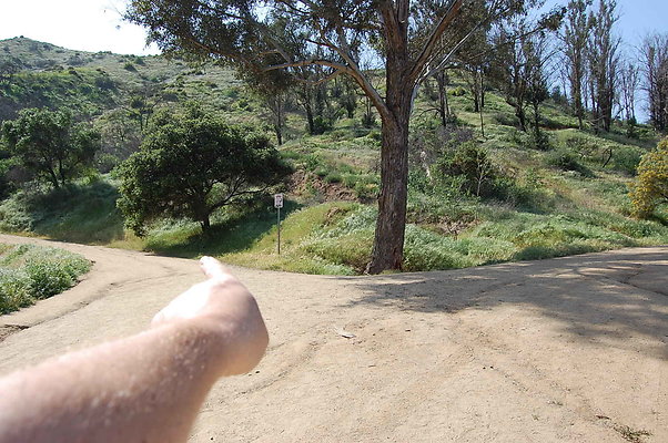 DSC 0541