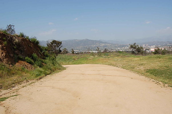 DSC 0559