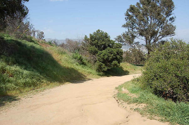DSC 0550
