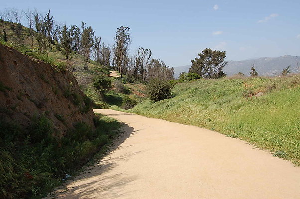 DSC 0555