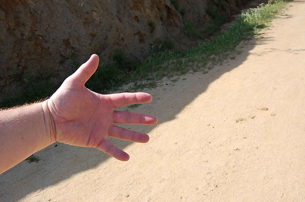 DSC 0564