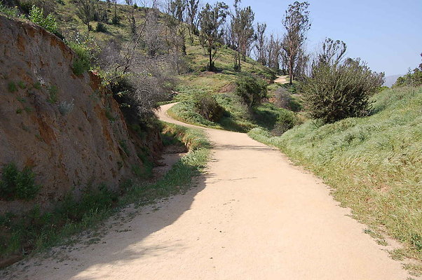 DSC 0563