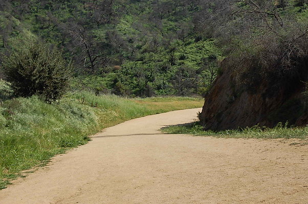DSC 0549