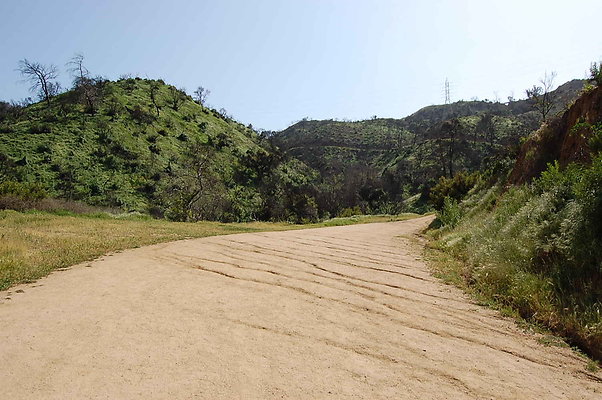 DSC 0554