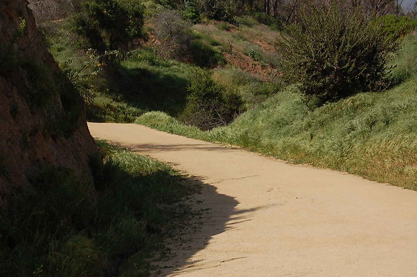 DSC 0556