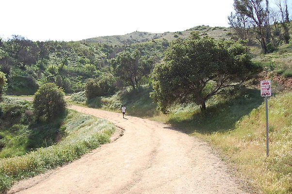 DSC 0542