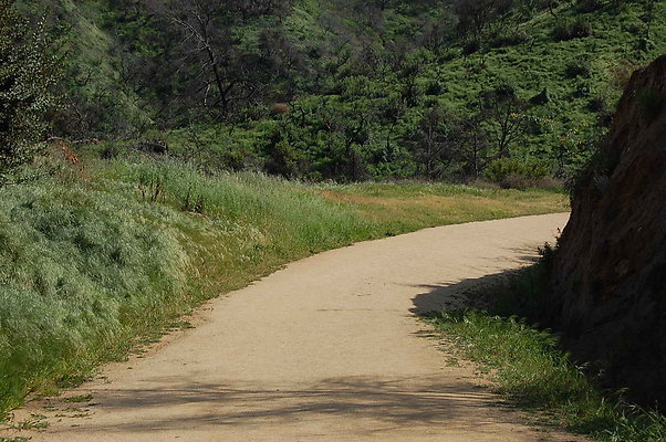 DSC 0551