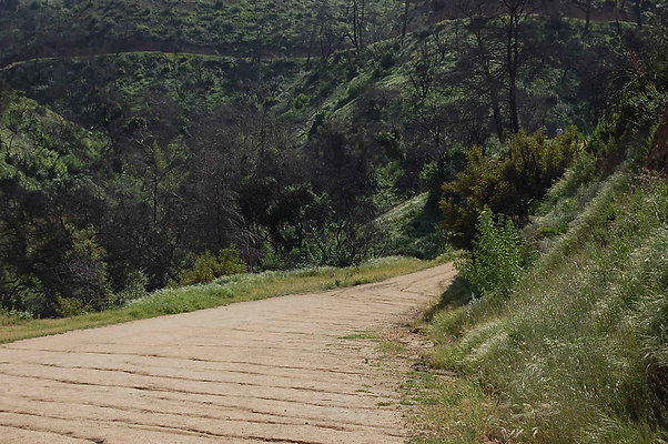 DSC 0553