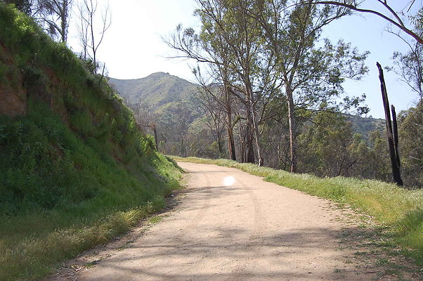 DSC 0532